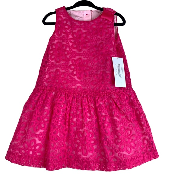 Gymboree Girls Special Occassion Lace Drop Waist Dress Fuchsia Pink NEW - Picture 3 of 13